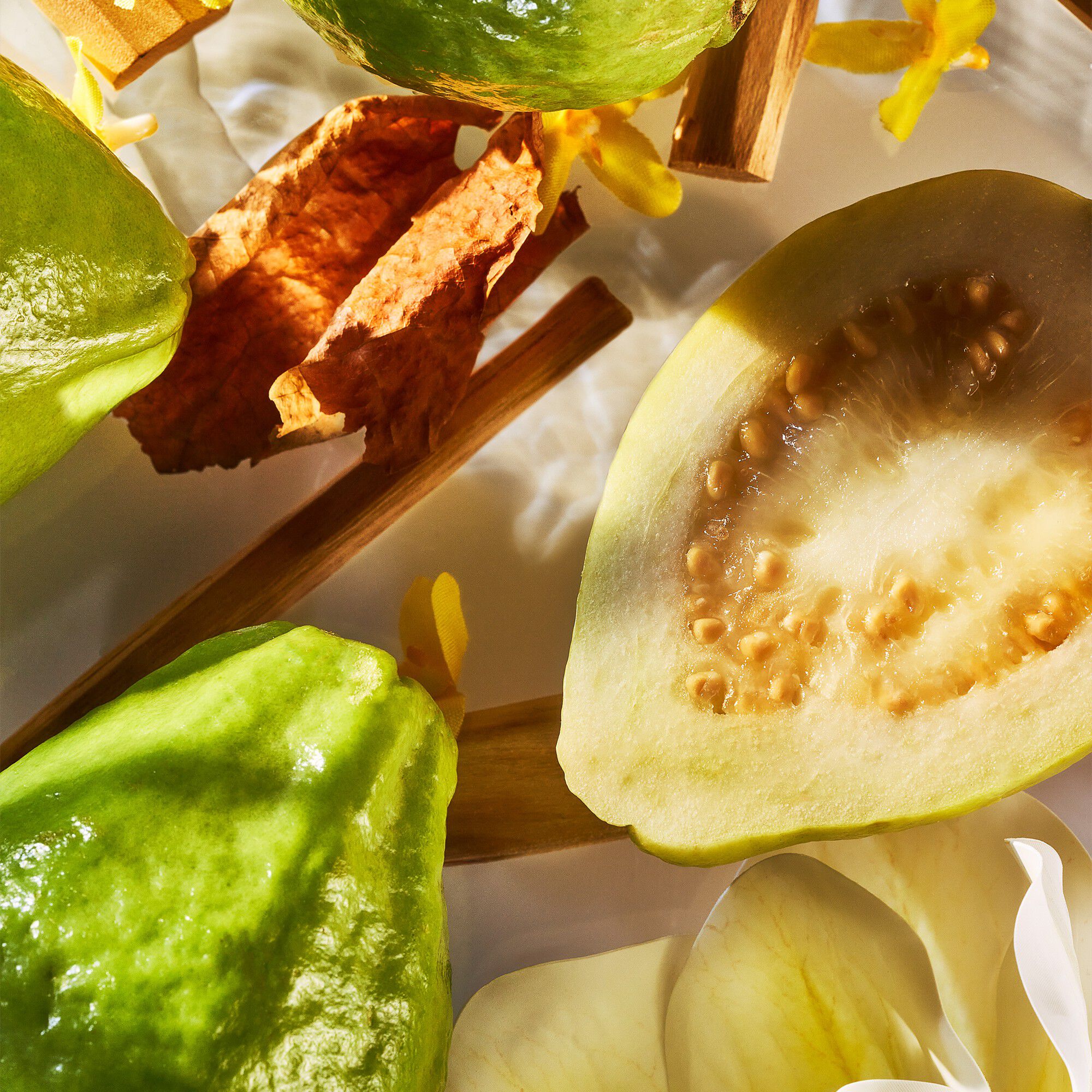 ISOLA VERDE PARFUM 50 ML