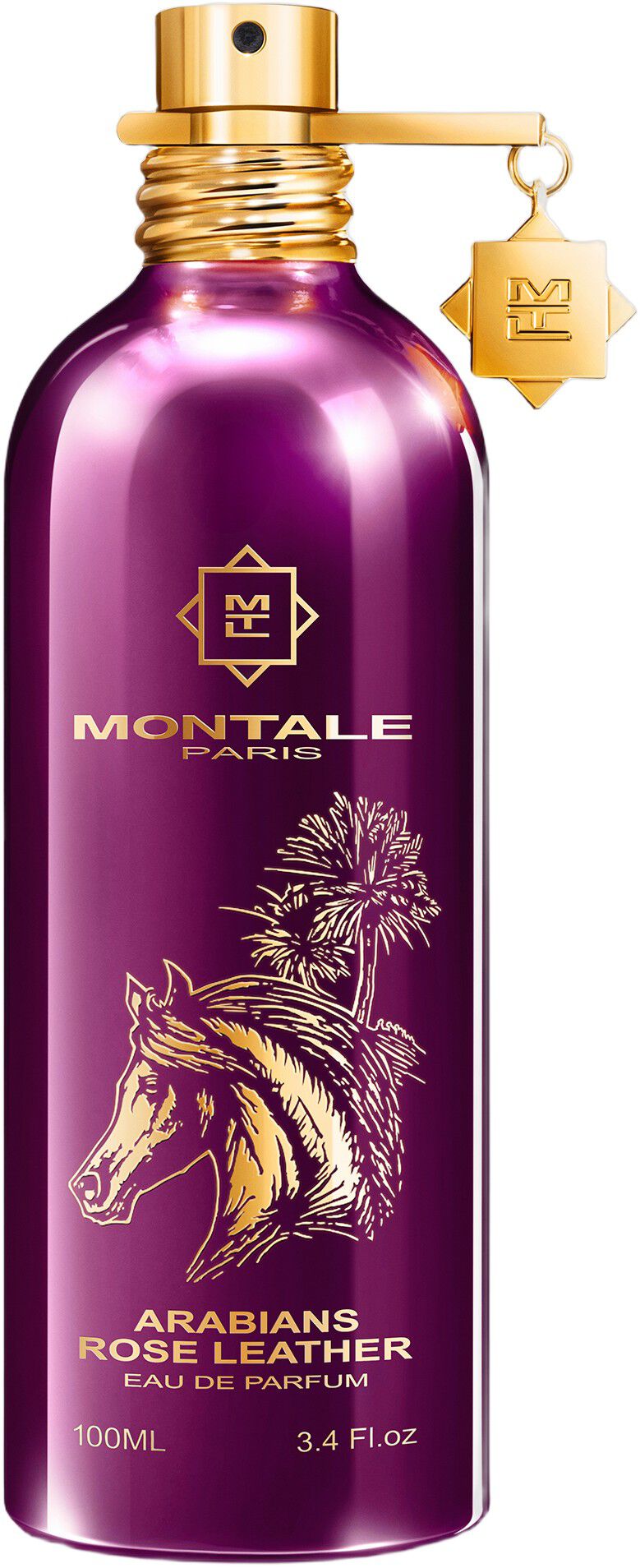 ARABIANS ROSE LEATHER EDP 100 ML