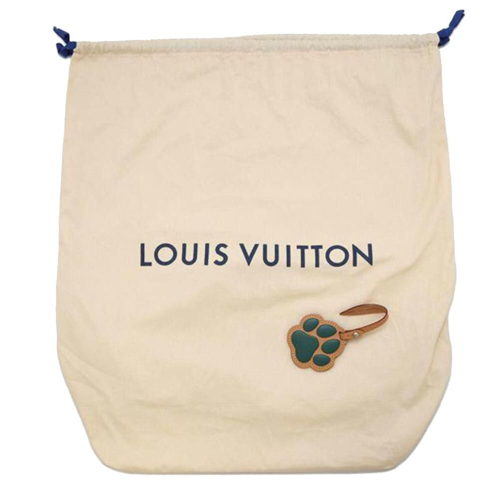 Louis Vuitton Discovery Backpack