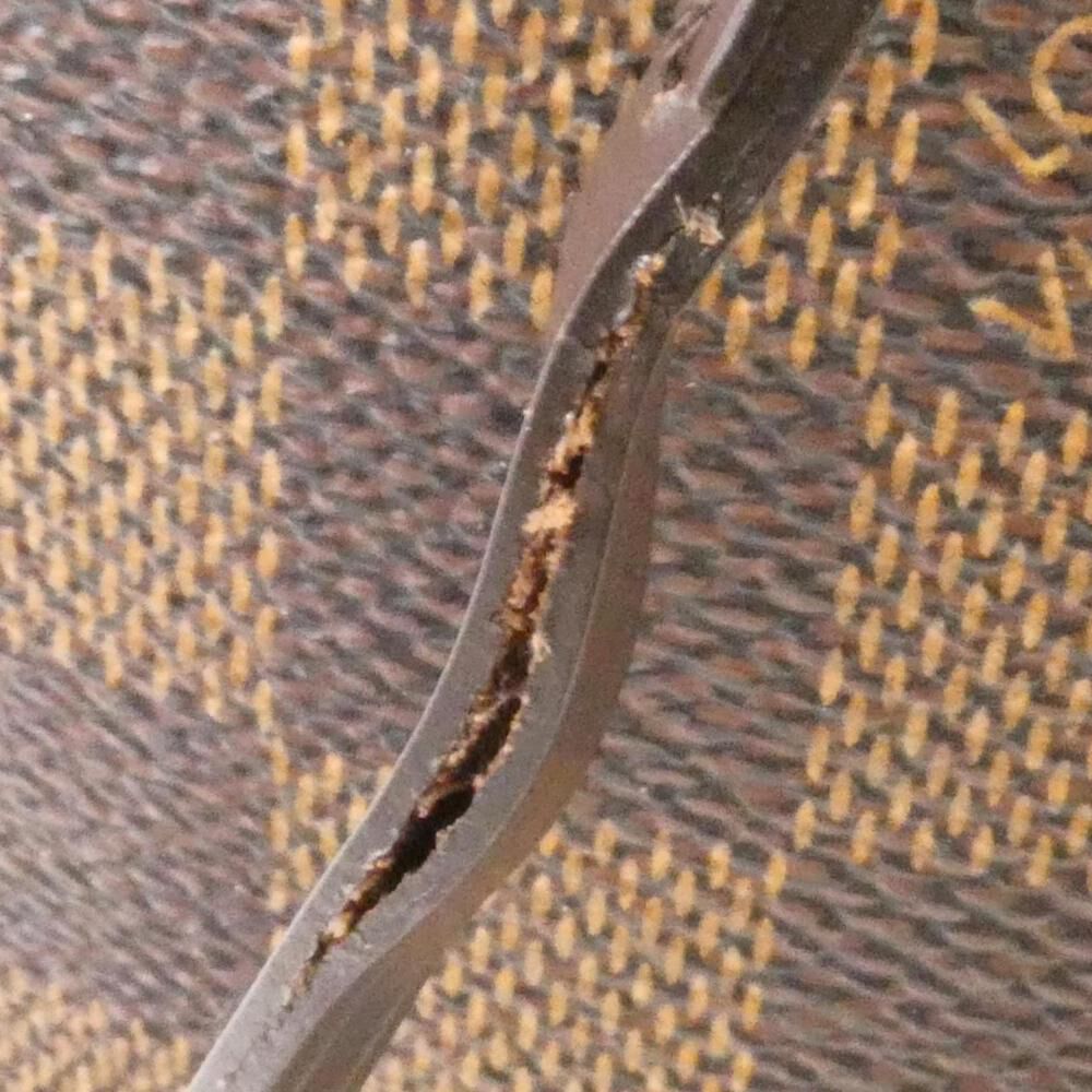 Louis Vuitton Neverfull