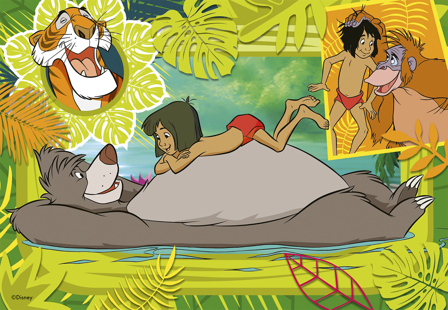 Ravnsburger 2x12 brik ass