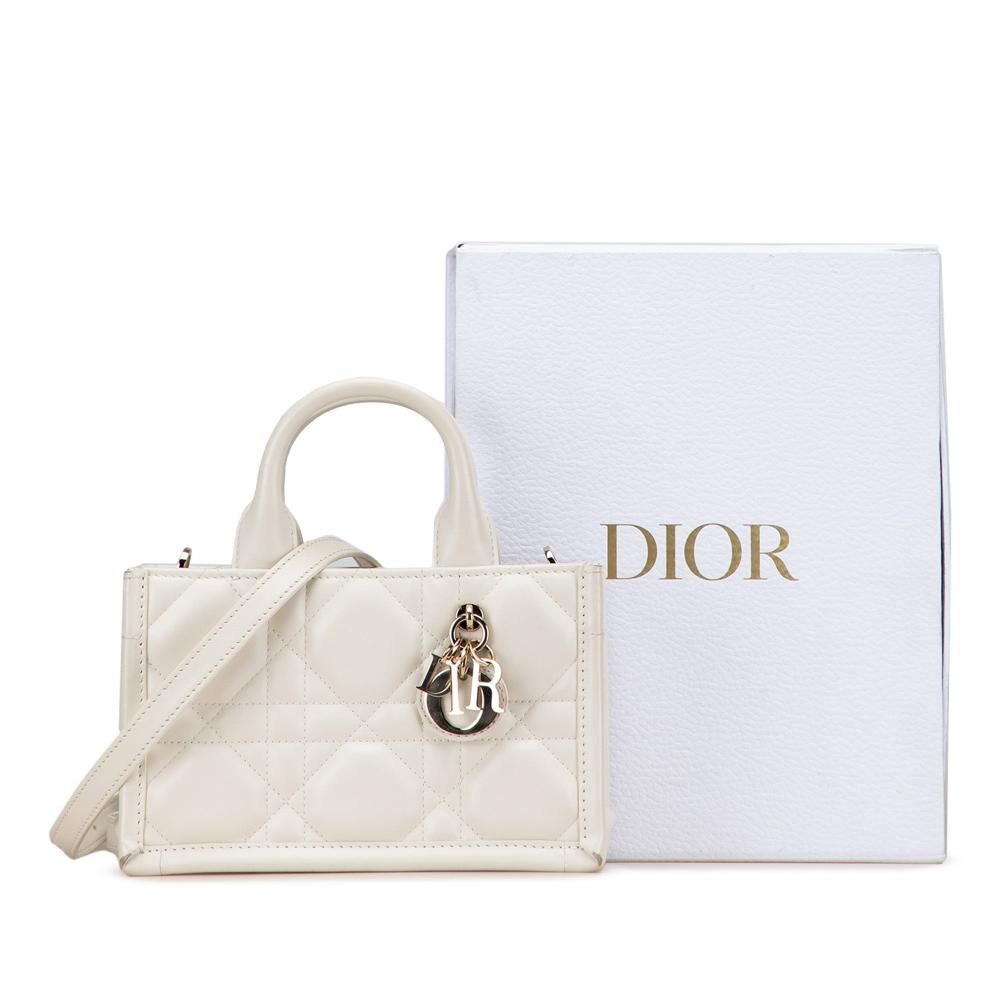 Dior Book Tote