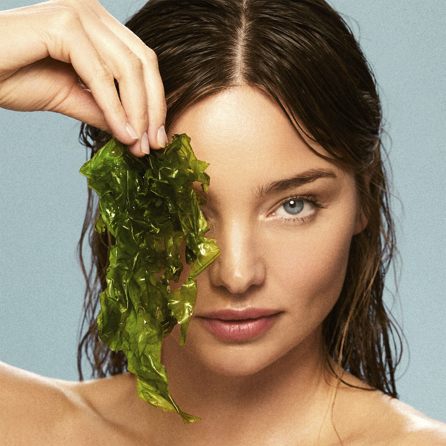 Active Algae Lightweight Moisturizer