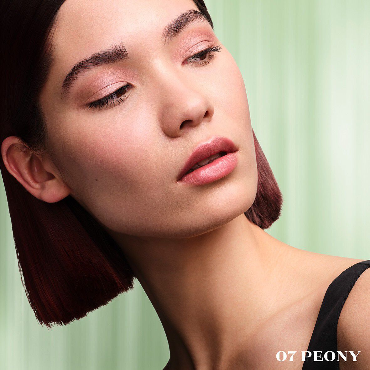 Dimensions Holo Nude Eyeshadow Palette Refill