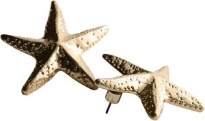 Star design earrings