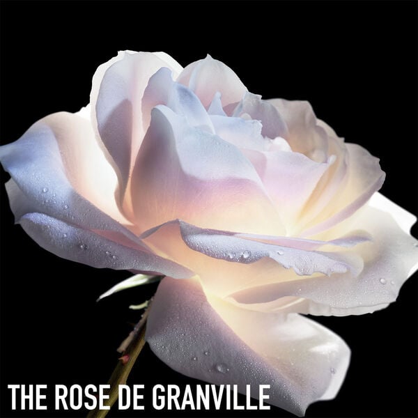 Prestige Sheet Firming Mask