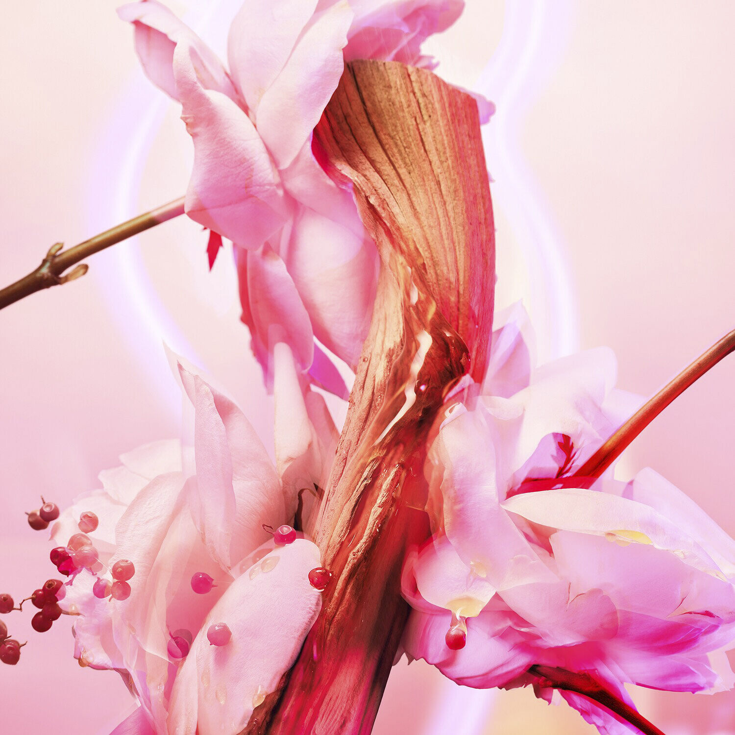 Love Frequency - Eau de Parfum