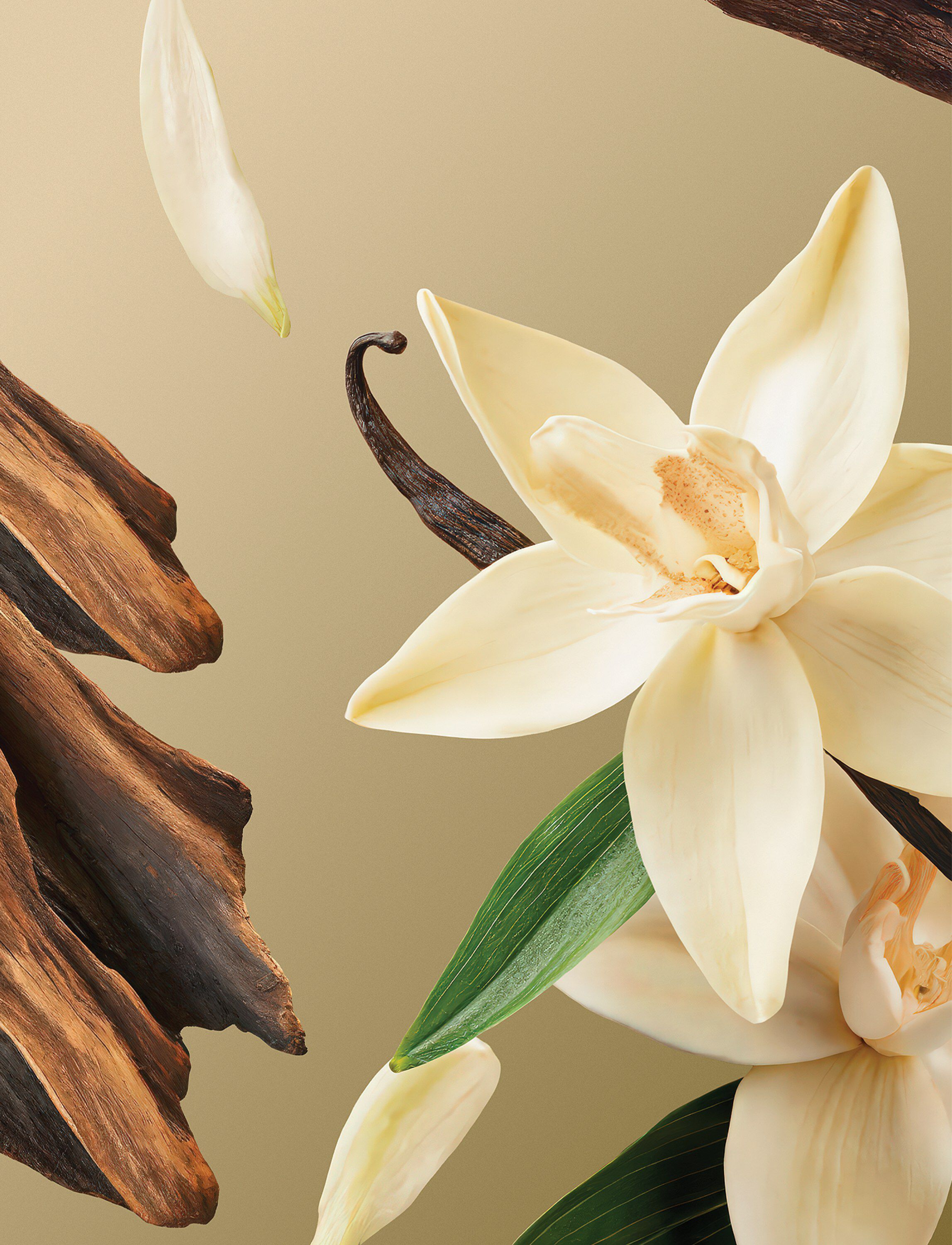 Intuitia Fragrance Sticks 230ml