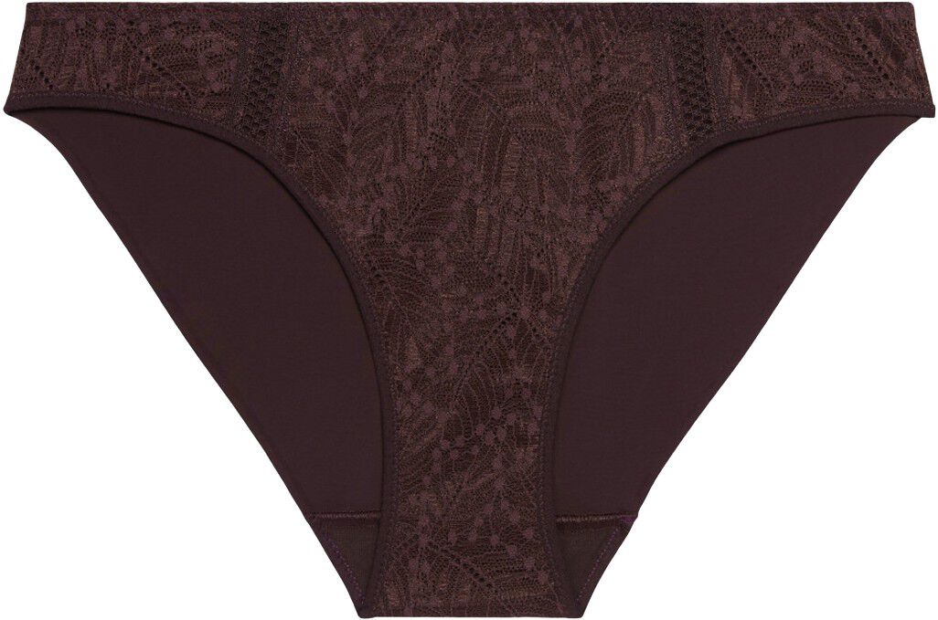 CARESSE Brief