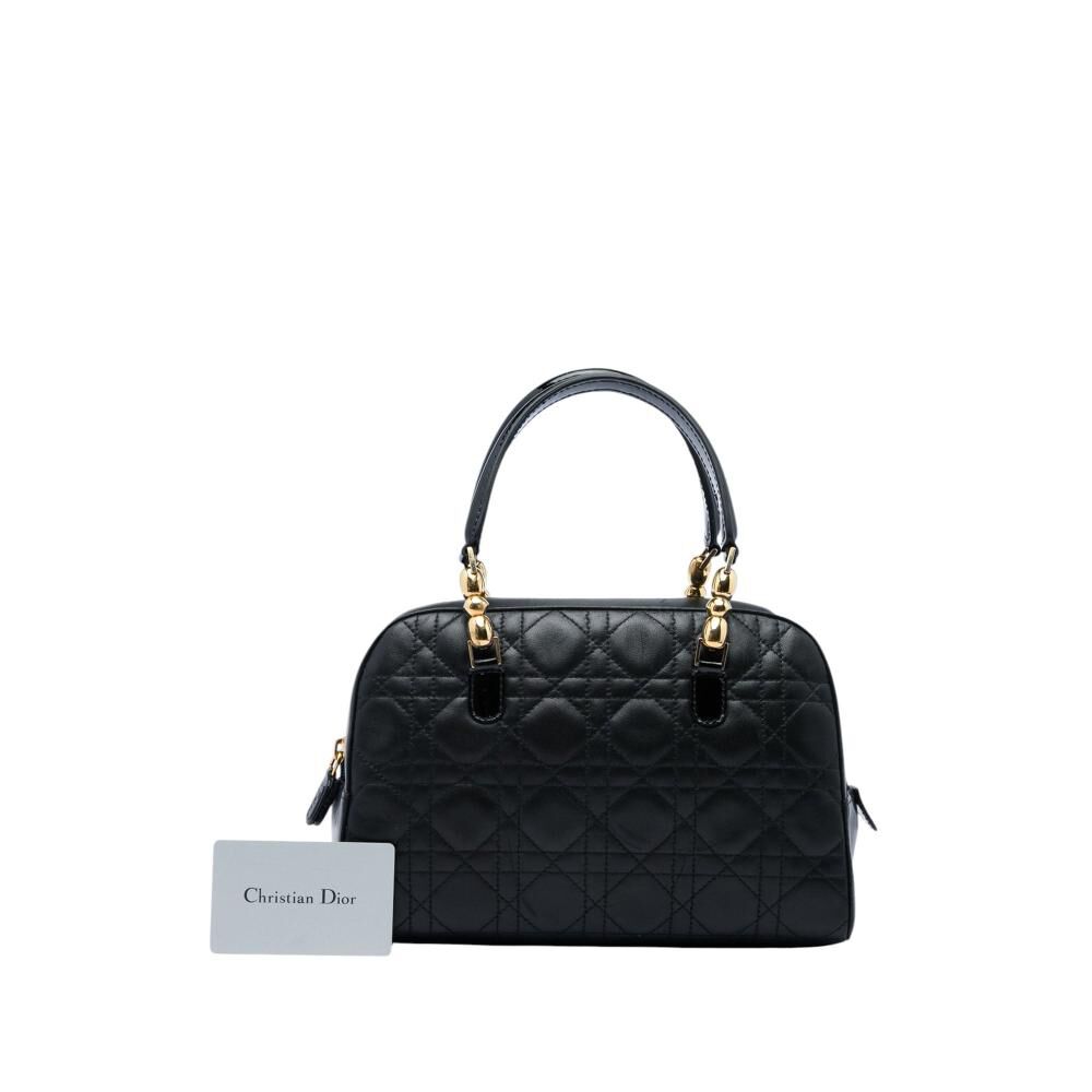 Dior Handbag