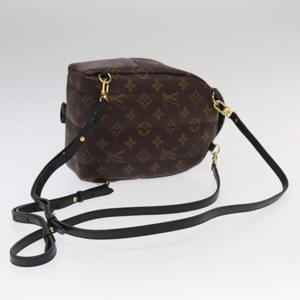 Louis Vuitton Palm Springs