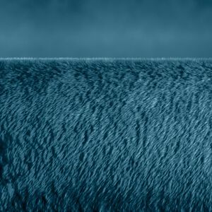 Beurer HD 75 Cozy Ocean Ny V&auml;rmefilt 180x130cm