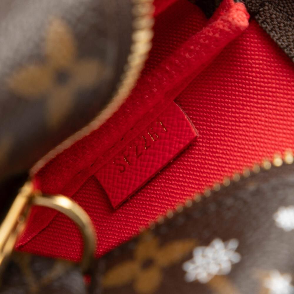 Louis Vuitton Pochette Accessoires