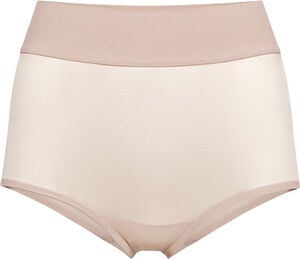 Sheer Touch Control Panty