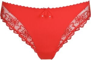 Jane Italian briefs