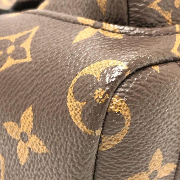 Louis Vuitton Palm Springs