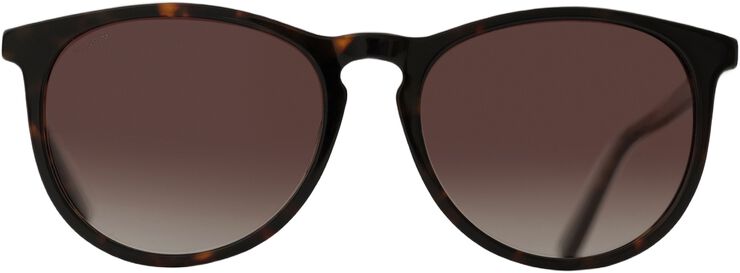 SAHARA sunglasses tortoise brown