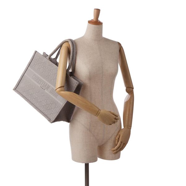 Dior Book Tote