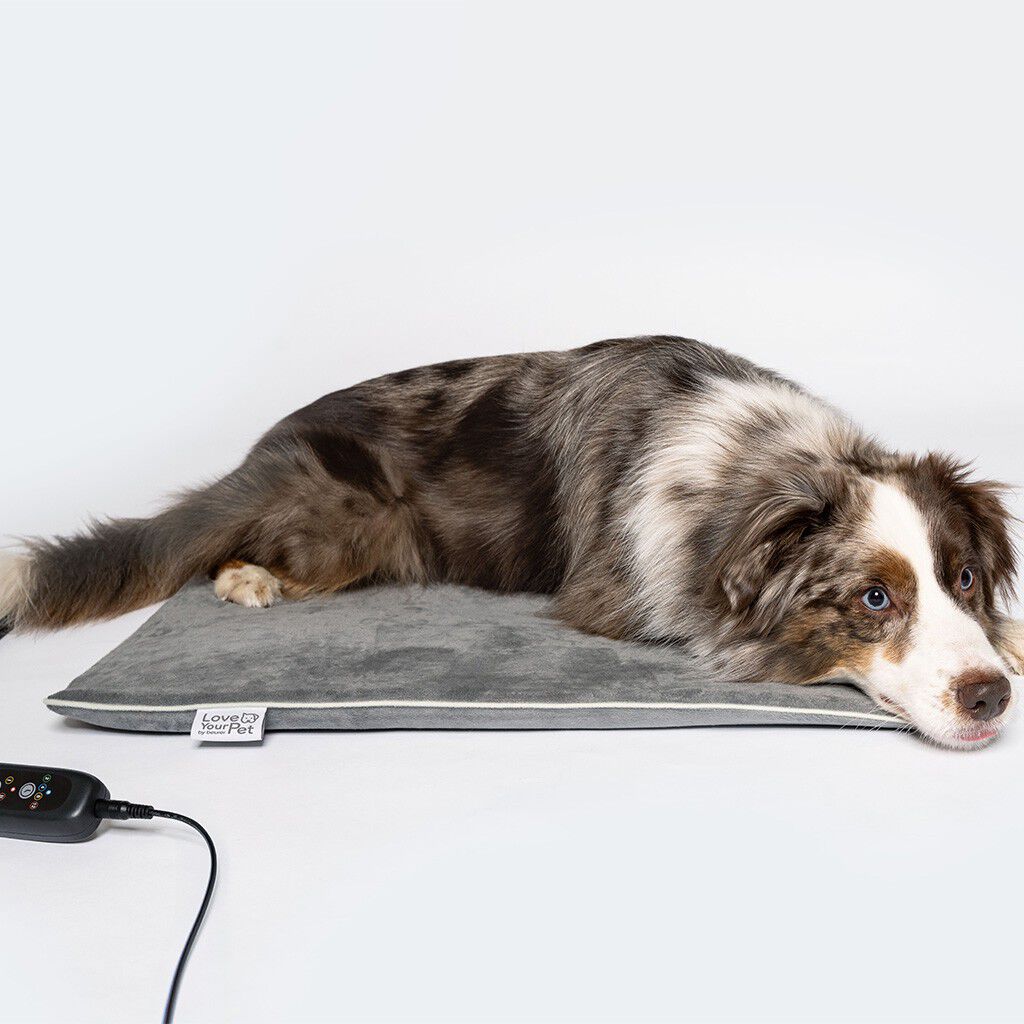 PetCare PP 220 Sammy V&auml;rmematta f&ouml;r husdjur 65x50 cm