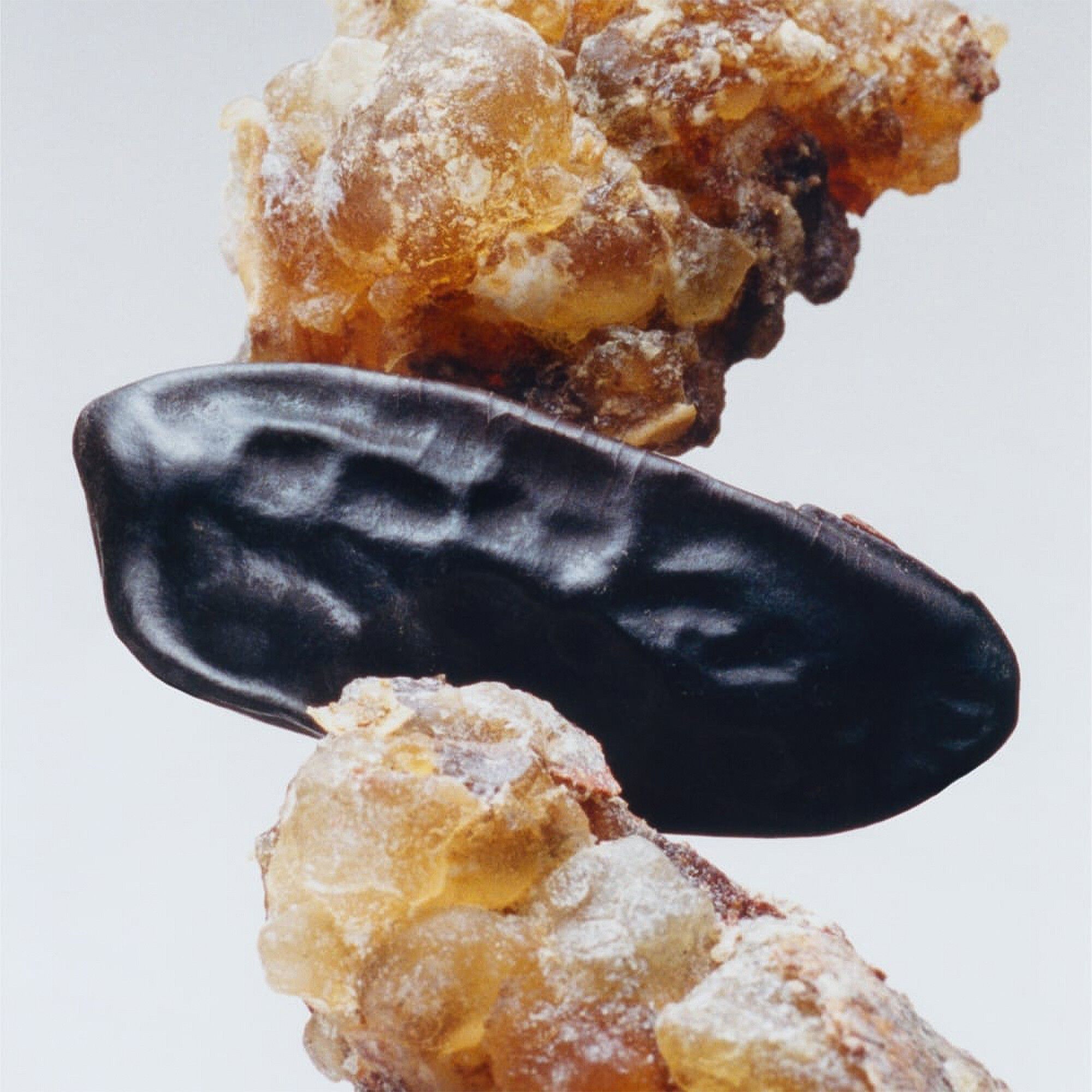 Myrrh & Tonka Cologne Intense