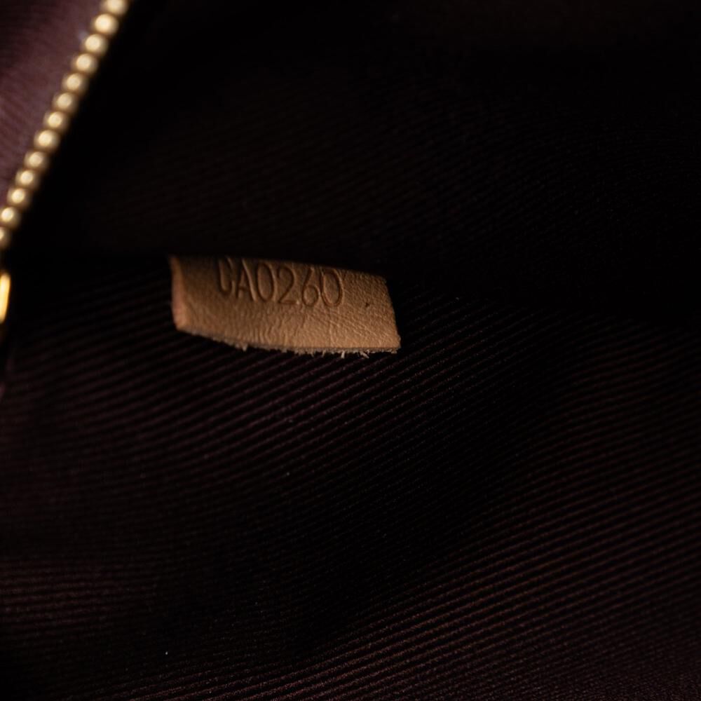 Louis Vuitton Cluny