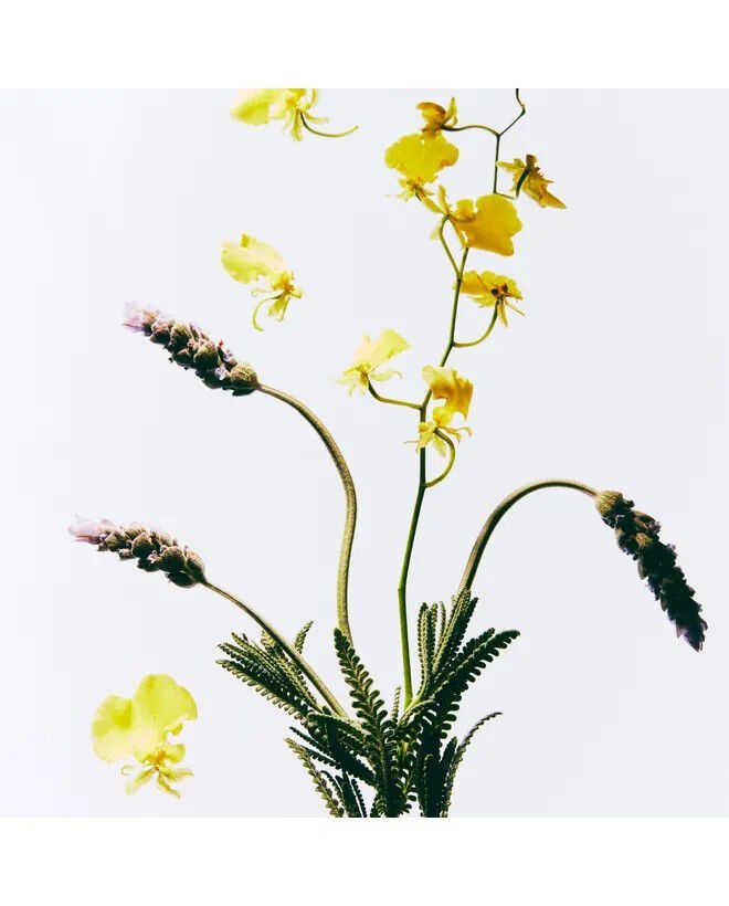 Cosmic 2. 0 Eau de Parfum