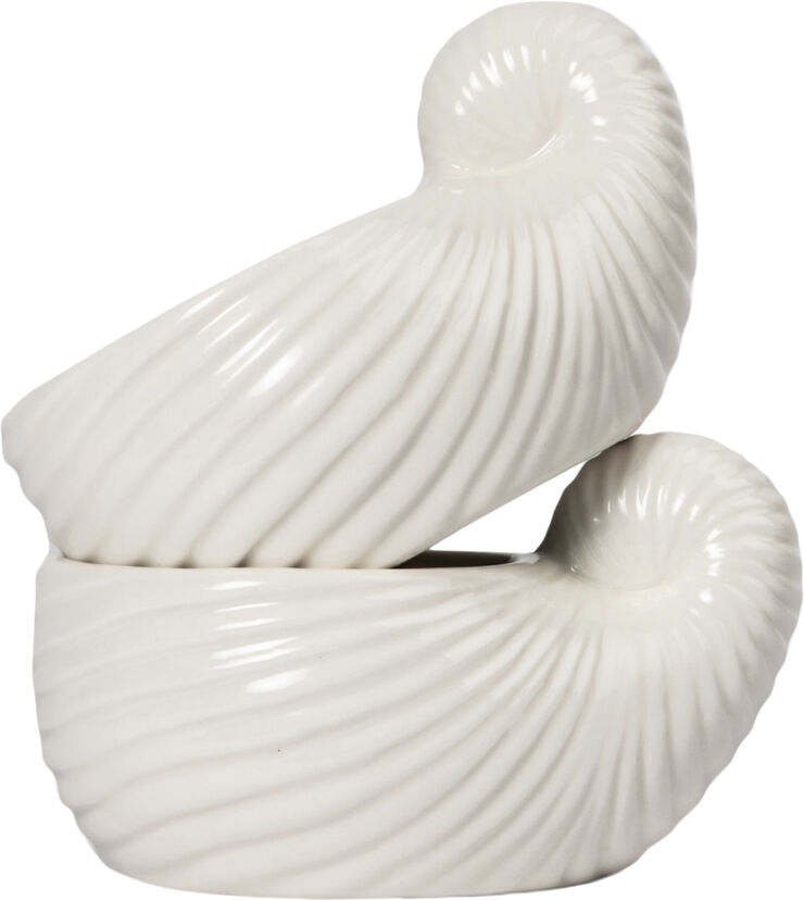 Bowl/Cup Shelley2pcs/set