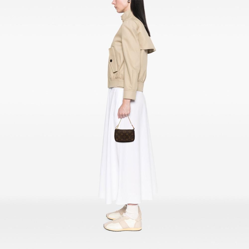 Louis Vuitton Pochette Accessoires