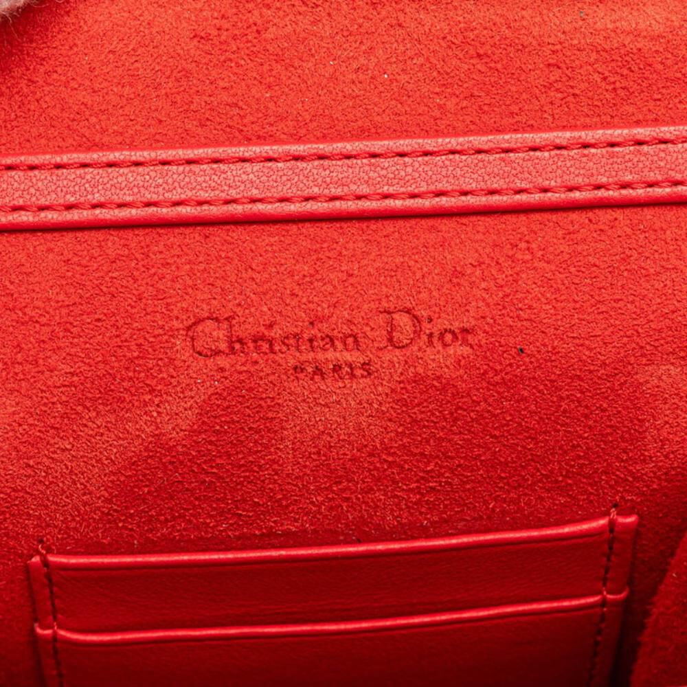 Dior Crossbody Bag