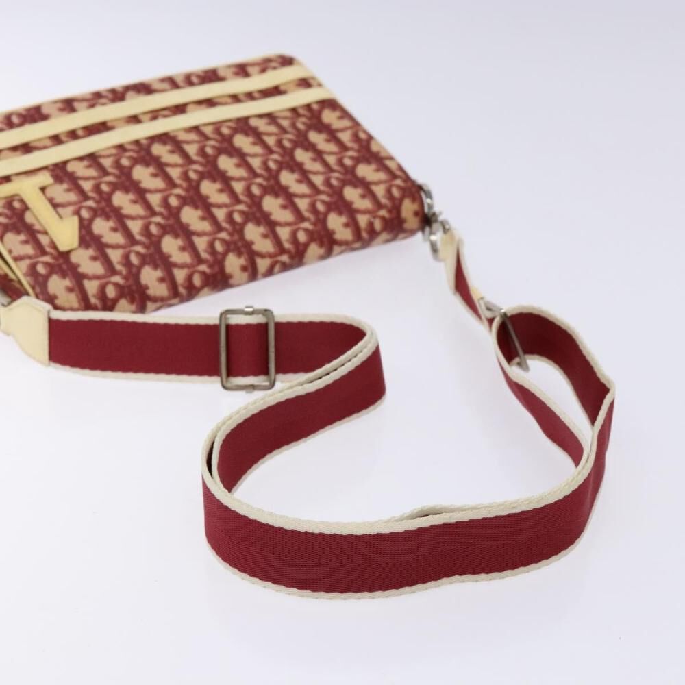 Dior Crossbody Bag