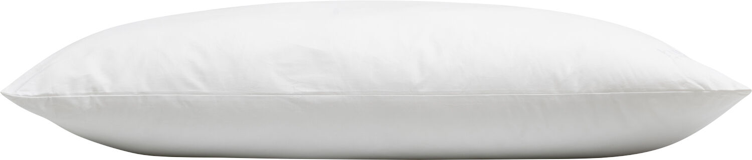 H&oslash;ie HYGEA Stor Hotel Pude