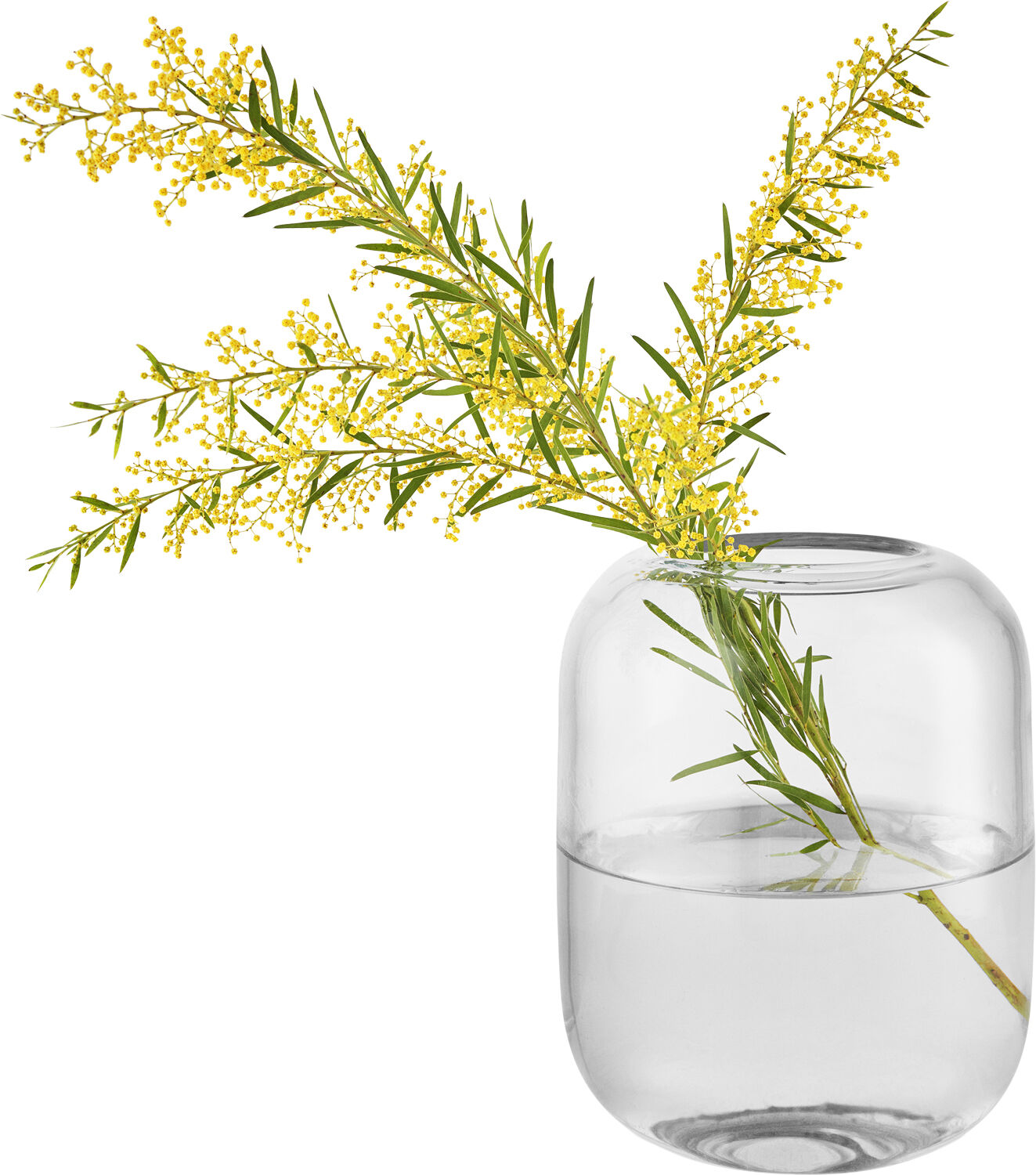 Acorn vase H16,5 Clear