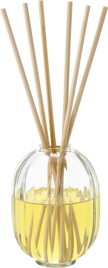 Reed Diffuser Citronnelle  including the refill