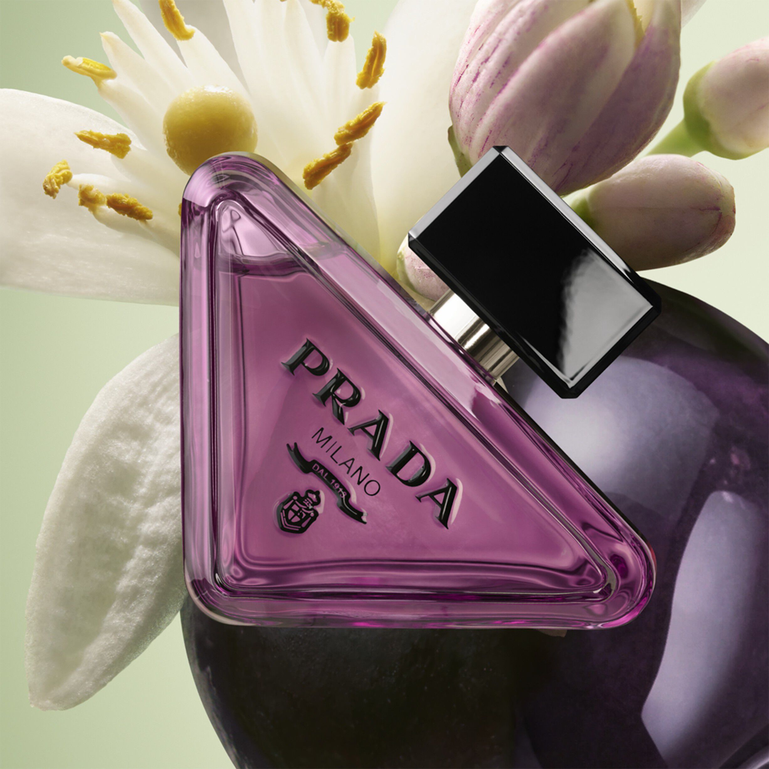 Paradoxe Sweet Chemistry Eau de Parfum