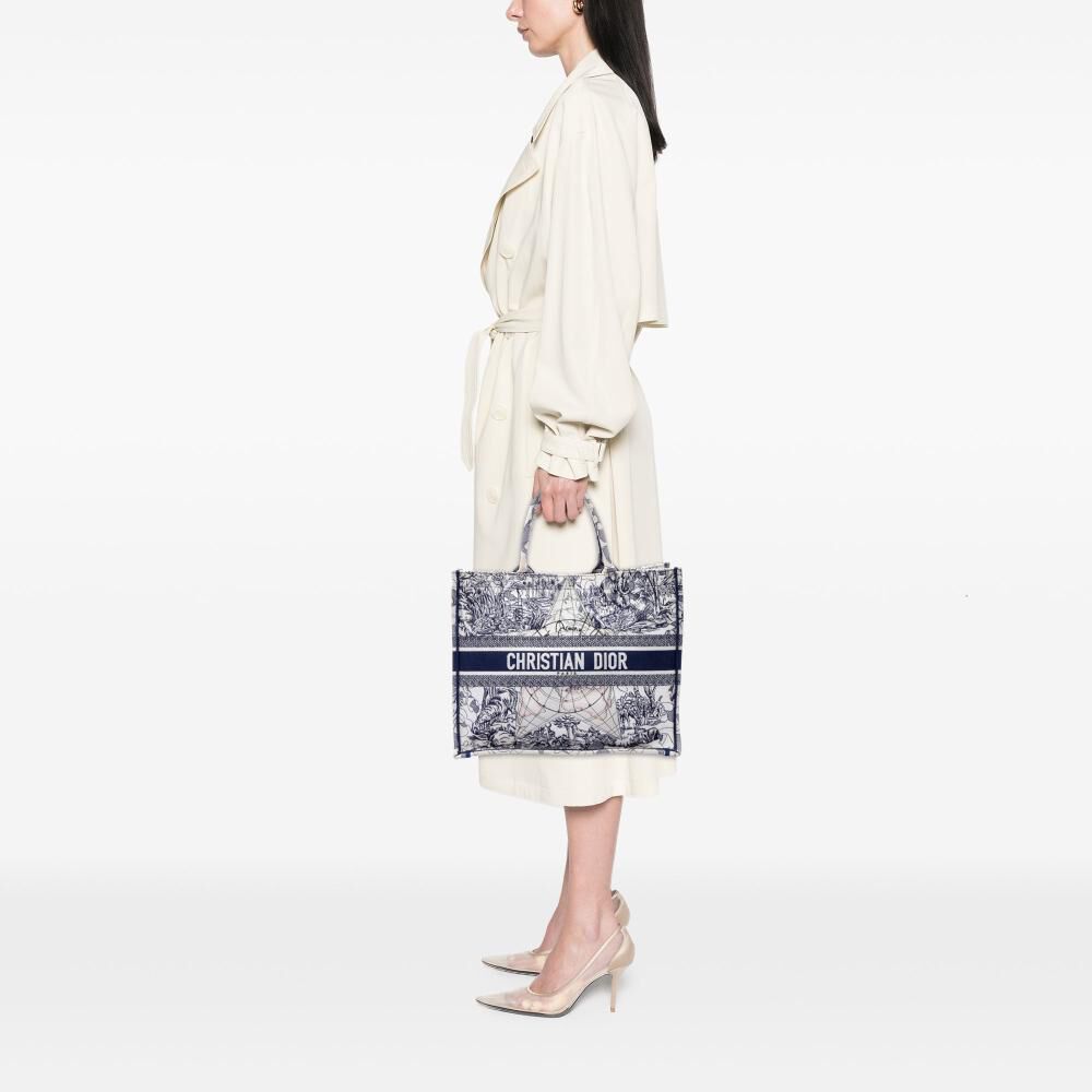 Dior Book Tote