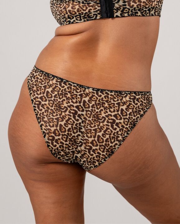 Mesh Bikini Briefs