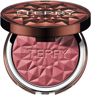 Tea to Tan Powder Blush N6 - Spicy