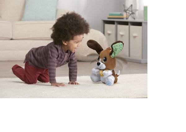 Vtech Baby Speak & Learn Puppy