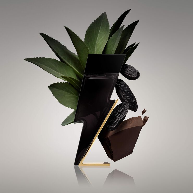 Carolien Herrera Bad Boy Eau de toilette