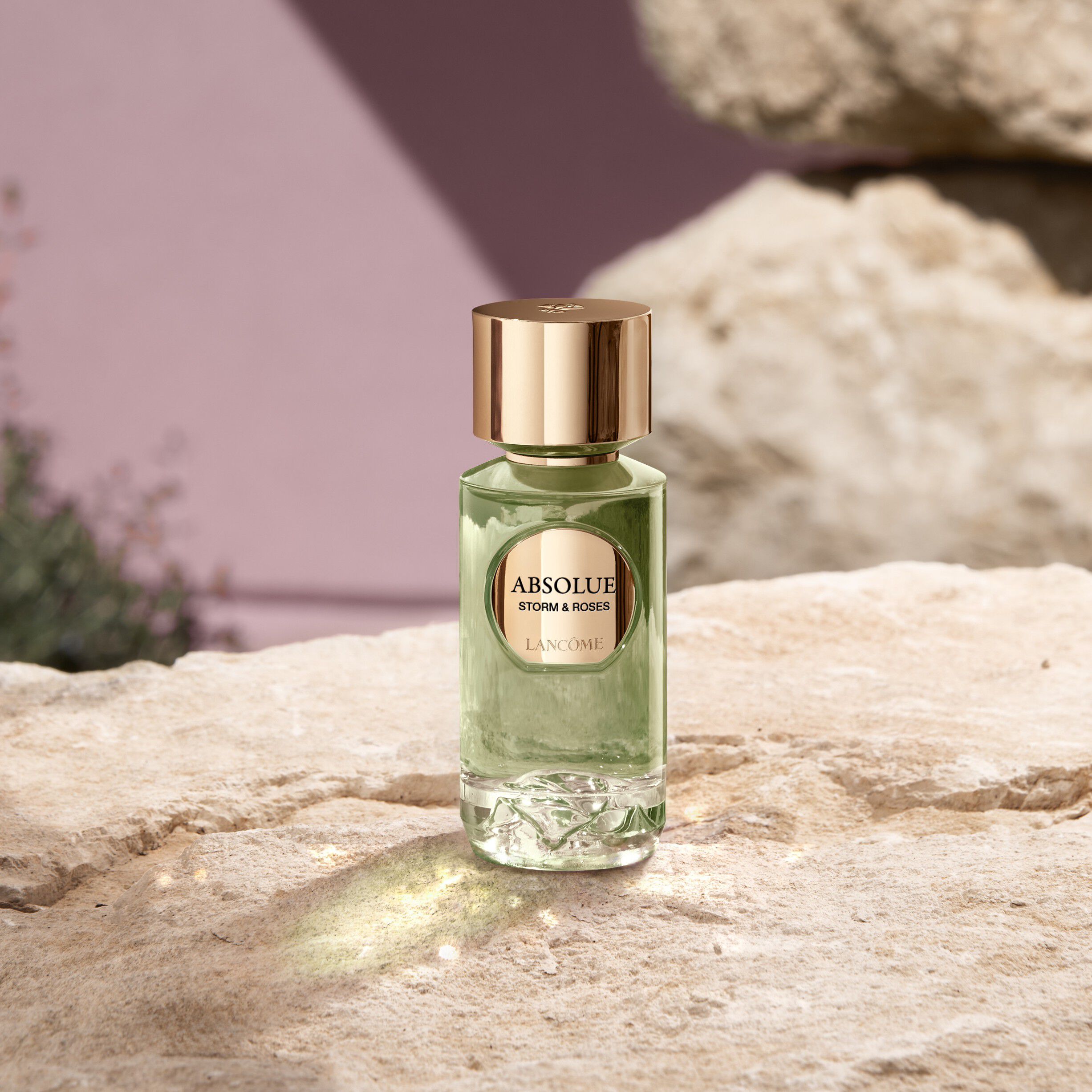 Absolue Les Parfums STORM & ROSES Eau de Parfum