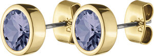 NOBLE earring