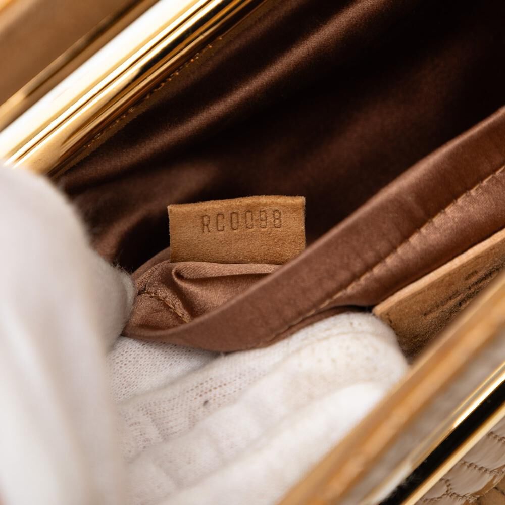 Louis Vuitton Handbag