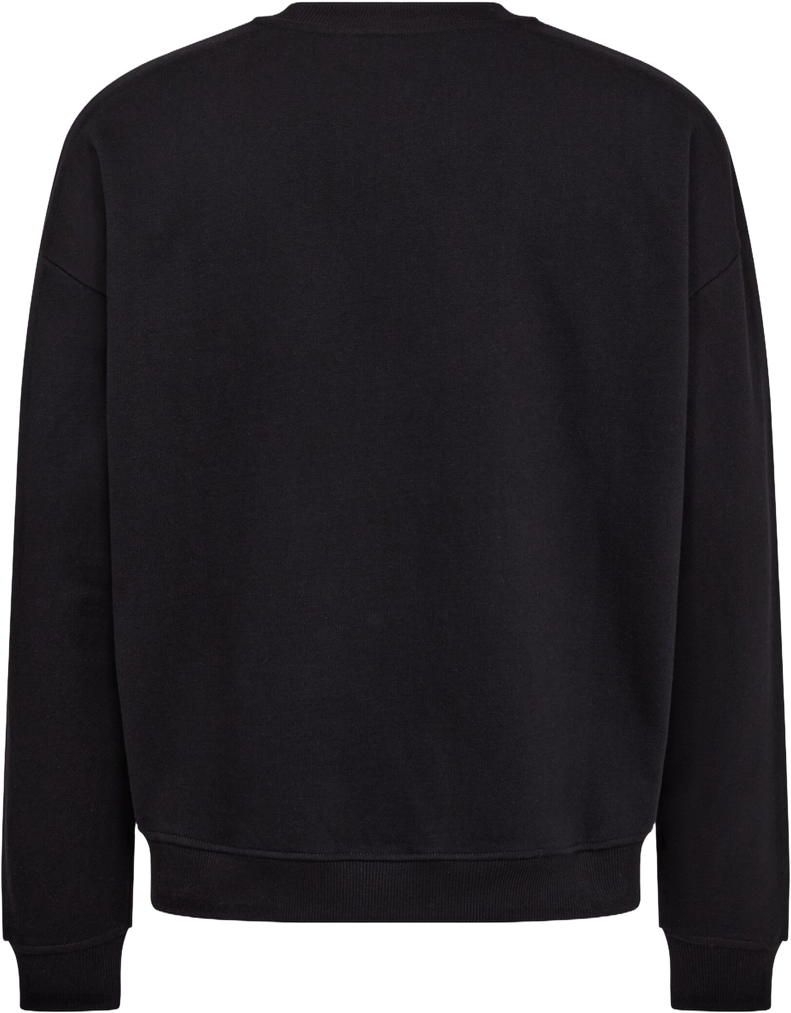 RTDRAKE CHEST PRINT CREW