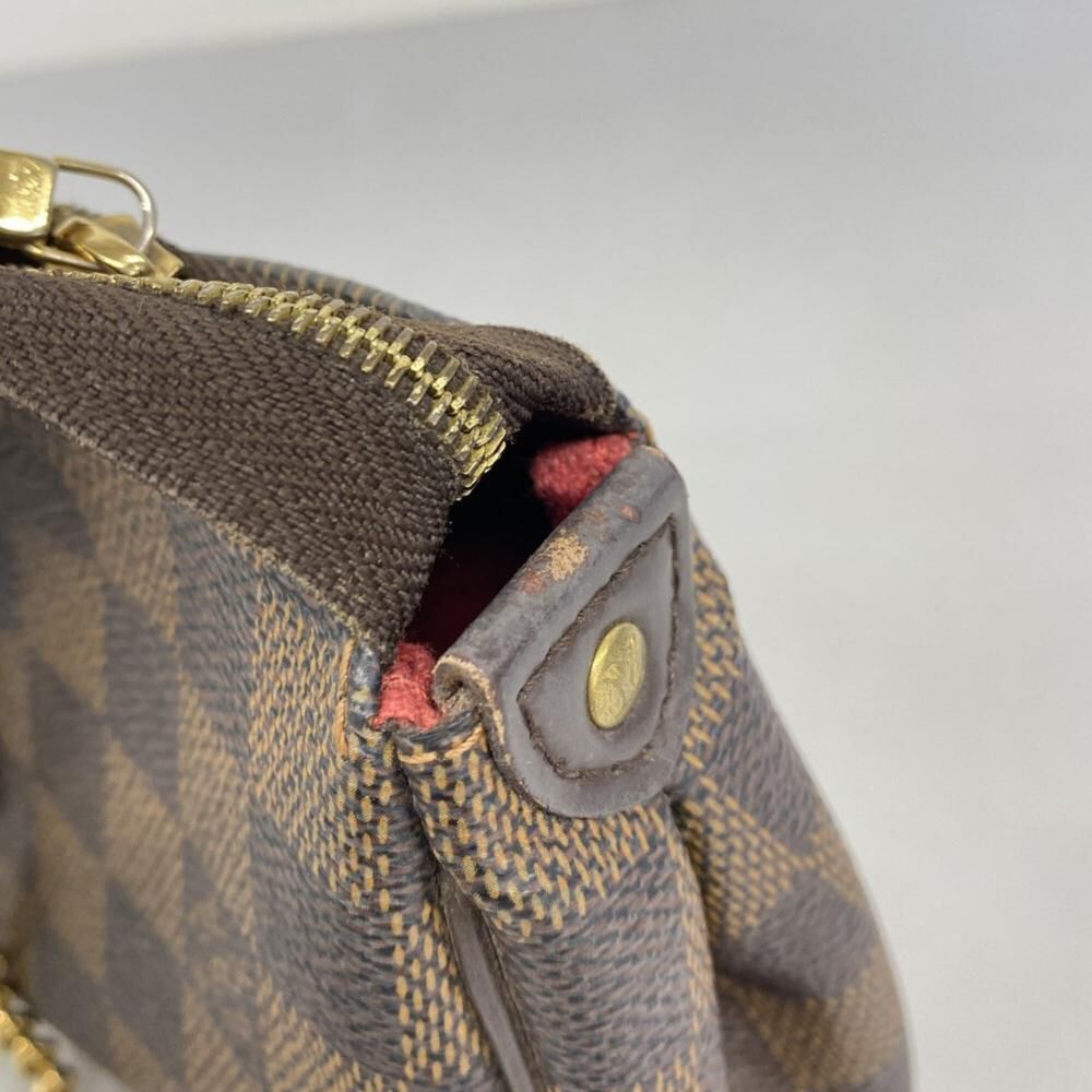 Louis Vuitton Eva