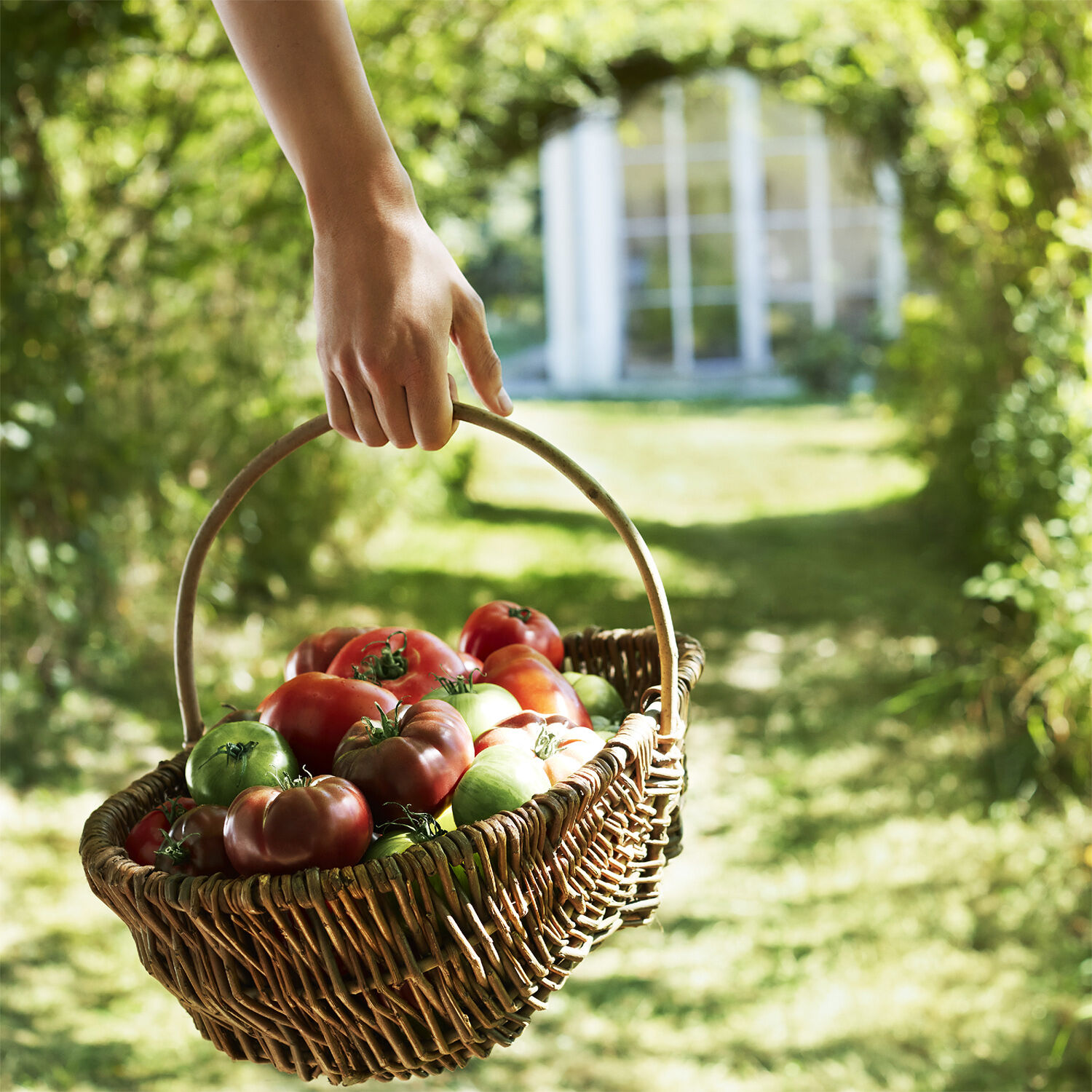 REPLICA From the Garden Eau de Toilette