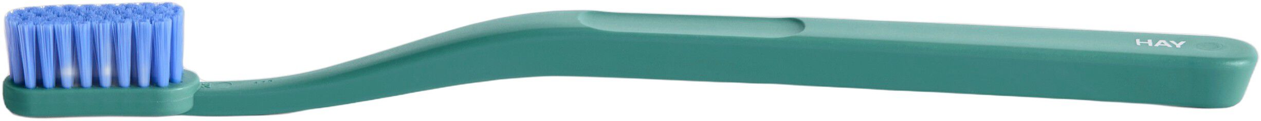 Tann Toothbrush-Pine green and blue
