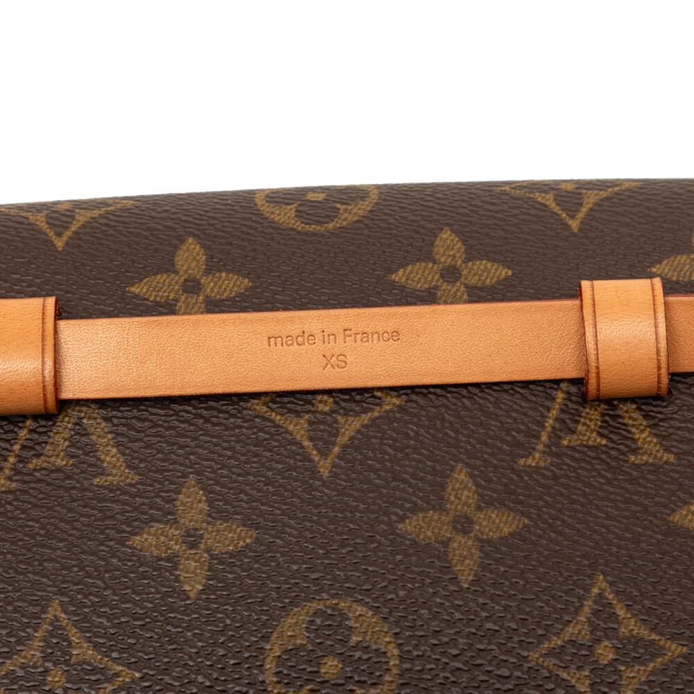 Louis Vuitton Florentine Pochette