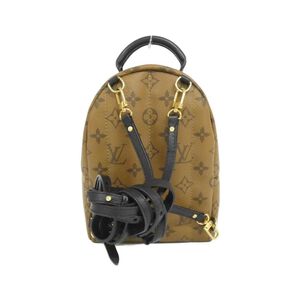 Louis Vuitton Palm Springs