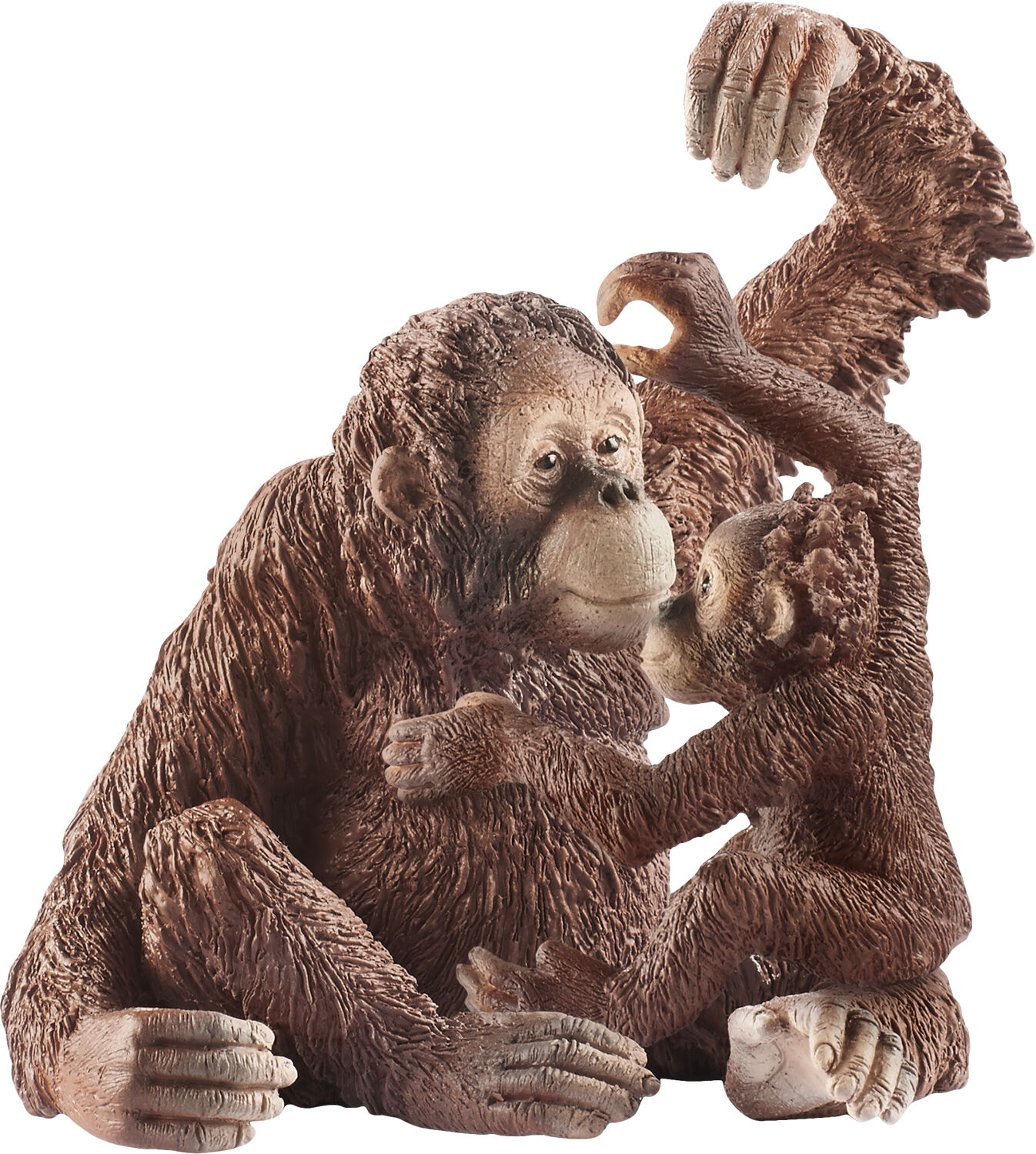 SCH14775 Orangutan female