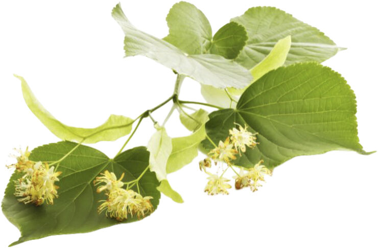 Organic Smoothing Facial Peeling 50 ml.